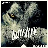 Эльдар Агачев — Волчонок — обложка