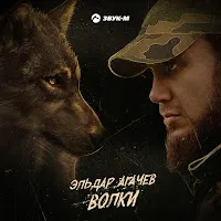 Эльдар Агачев — Волки — обложка